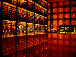solidrockalbatross:  Yale Rare Book Library by N. Hollot on Flickr.