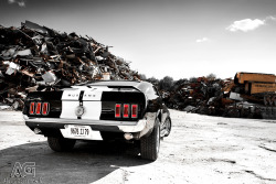 motoriginal:  Never Going to ScrapShot by Alexis Goure  