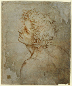 leonardian:  The “Fioravanti Folio” Self Portrait(Master