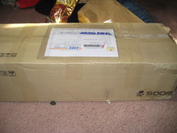 cklikestogame:  wahrsager:  Cobweb came today! Yay! Poor thing
