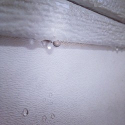 Water drops. (Taken with instagram)