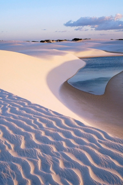 0ut-0f-f0cus:  desert beaches are SO cool 