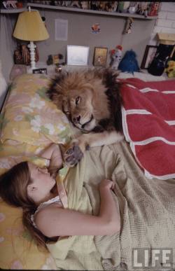 reblololo:  Michael Rougier Living with a lion | Amazing Creatures