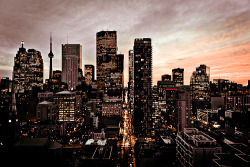 flawsandshit:  T.O ♥ 