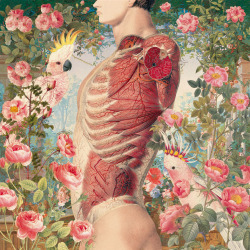 electrikthunder:  Anatomic Collages from the “Ciencias Naturales”