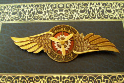 steampunkfinds:  Aviator pin with an antique brass finish. 