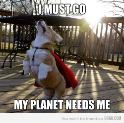 9gag:  (via 9GAG - I must go. My planet needs me.) 