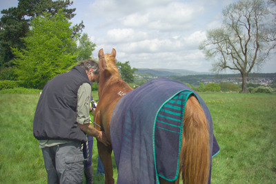 <p>Vetting at Mynydd Machen 2009</p>