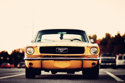 automotivated:  DSC_5099 (by nextelbuddy)