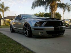 FuckYeahMustang