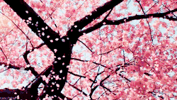 fumacanamente.tumblr.com/post/17014353522/