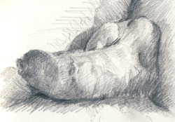 igorsoldat: Lying in the winter sun - drawing by Igor Soldat