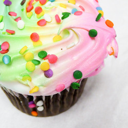 preciousandperfect:  adoro cup cake 