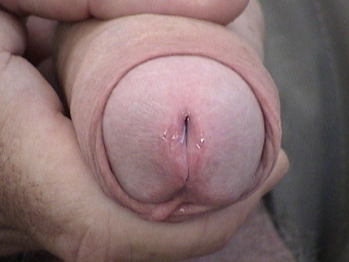 bigthickchubbydick.tumblr.com/post/44306880983/