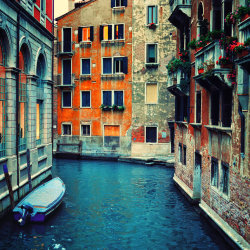 backcataloge:  venice 