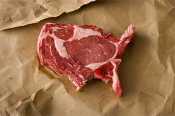  united steaks of america   