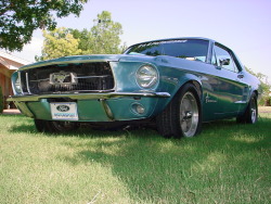 FuckYeahMustang