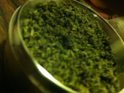 abeautfulnightmaree:  Bleu cheese :) 