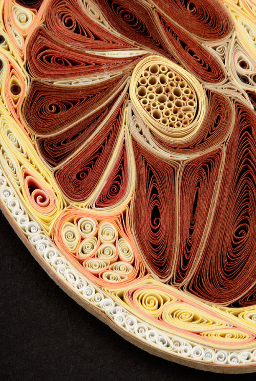 geneticist:  Artist Lisa Nilsson constructed various cross sections of the human body using only pieces of rolled paper. Click to zoom in on each picture and be amazed. 