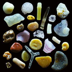 falltoplace:  sand magnified 250 times 