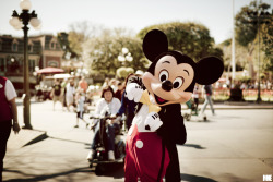 shiface:  I need to visit Mickey soon. /=  I want to bring my