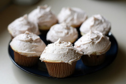 repose:  Vegan French Vanilla Cupcakes (by skinny.jeans) 