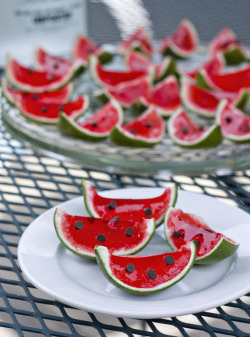 thecakebar:  Watermelon Lime Jello Shots! (recipe) 