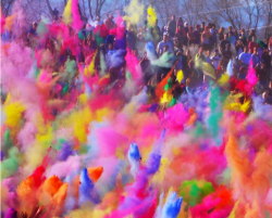 pulmonaire:  Holi Festival (Festival of Colors), is a spring