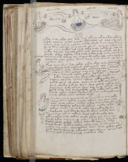 witchsauce:  The Voynich Manuscript is a 240-page book written