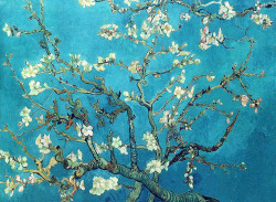 odbytea:  toujoursaufonddemoi:  Vincent Van Gogh, Almond Blossom 