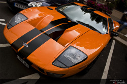 AutoMotivated.