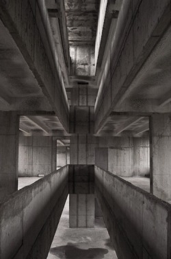 fiore-rosso:  ,universitat de lleida (under-construction) - alvaro