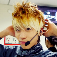 topyong:  Kpop to Pokemon: Jonghyun→Jolteon. (requested by