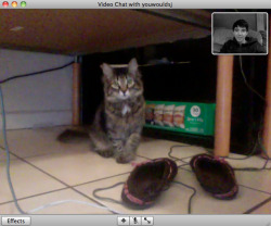 the-listening:  3mstewart:   omg she recognizes me on video chat