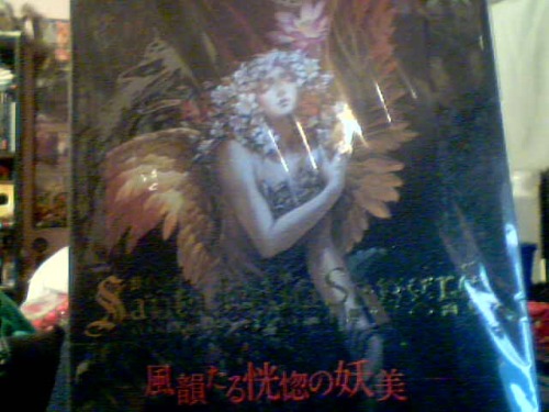 >>Buy Ayami Kojima’s art book finally >>Spent all the money you had for the next two weeks on it>>Fuck fuck fuck, maybe I should return it>>Go home, unwrap and go through it >>GET ALL THE ILLUSTRATION BONERS AT ONCE>