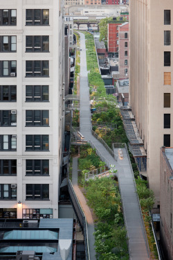 followitblind:  The High Line 