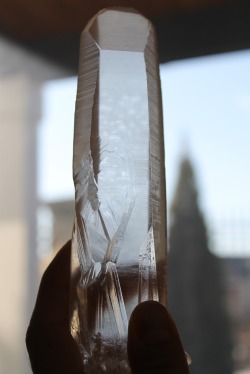 earthairfire:  Lemurian Seed Crystal