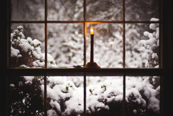 larosaenflorce:  That same window… by timrobisonjr on Flickr.