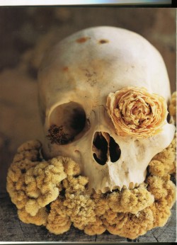 gothiccharmschool:  Elegant skulls and roses. 