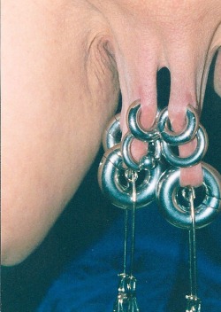 pussymodsgalore:  pussymodsgalore  Well pierced labia being stretched