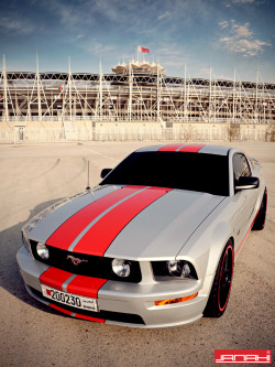 AutoMotivated.