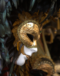 myvenetianmask:  Black feathers and golden smile 