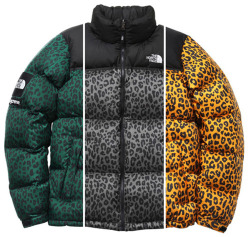 onlycoolstuff:  supreme x north face 