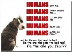How true is this… We ALWAYS blame the Animal/Breed and