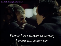 &ldquo;Even if I was allergic to kittens, I would still cuddle you.&rdquo; Submitted by tophatsandfedoras.