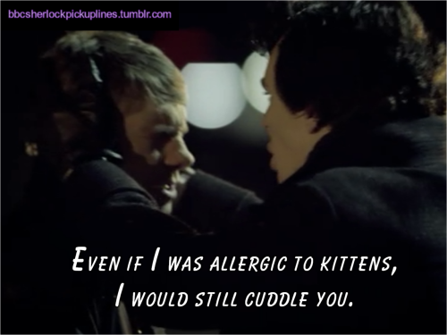 “Even if I was allergic to kittens, I would still cuddle you.” Submitted by tophatsandfedoras.