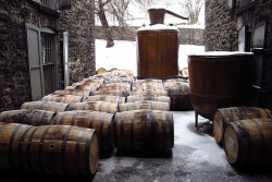 lifeofawhiskeydrinker:  woodford reserve distillery. 