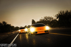 automotivated:  Lamborghini Gallardo Superleggera and Porsche