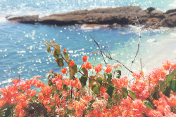 Sweet Escape