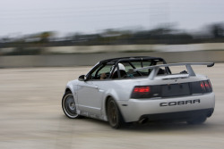 Pure Muscle